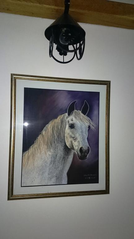 Guest House Zlatiborski Pastuv Экстерьер фото